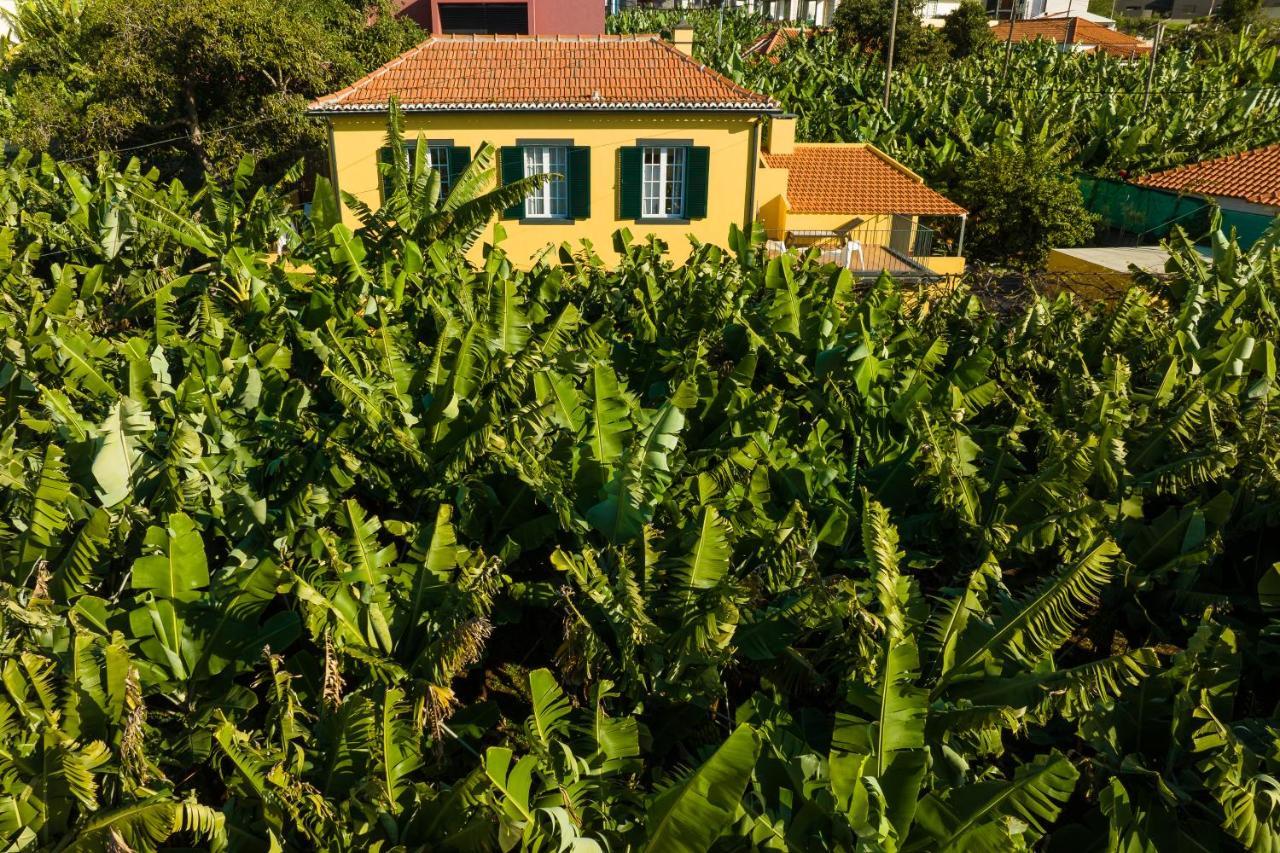 Casa D'Avo Celina Villa Funchal  Kültér fotó